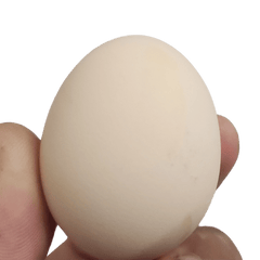 Waseeh Desi Table Eggs – Freshly Packed, Lahore Delivery