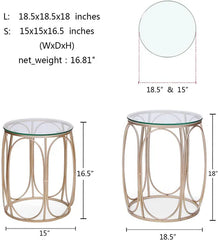 Hokaage Living Lounge Center Coffee Serving Sofa Side Tables (Set of 2)