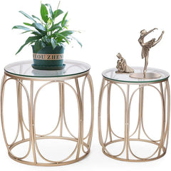 Hokaage Living Lounge Center Coffee Serving Sofa Side Tables (Set of 2)