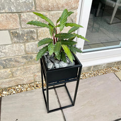 Zodulla Indoor & Outdoor Metal Standing Square Planter