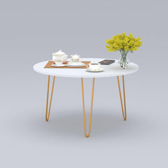 Anikaa Living Room Lounge Coffee Center Hairpin Legs Table mdf marble white