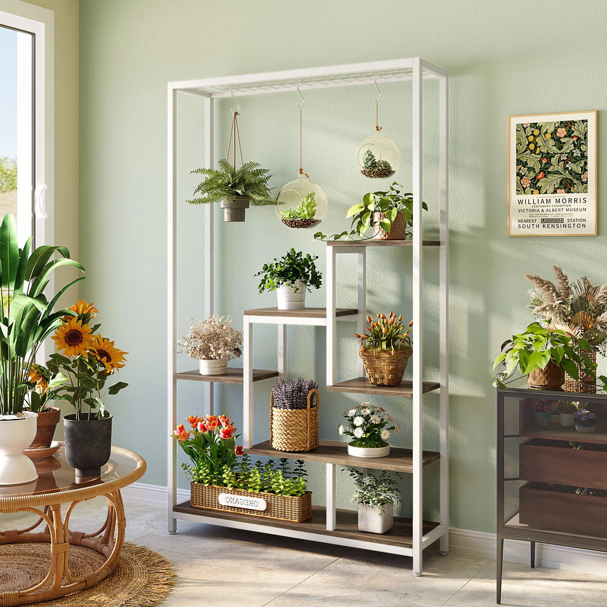 Valira Shelf with 6 S Hooks Planter Rack