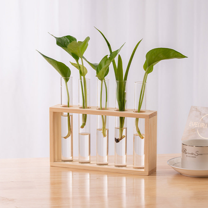 Nounas Transparent Flower Glass Pot Home Vase Plant Decor