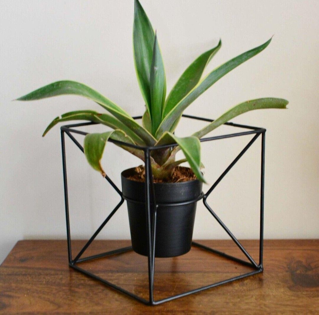 Auremont Metal Cube Plant Stand (No Pots Included) | Furniture | Waseeh Pakistan