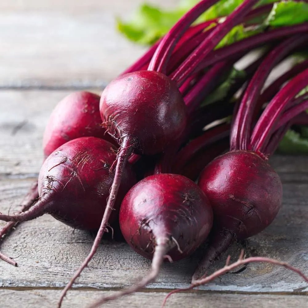 Beetroot Microgreen Seeds | Home Décor | Waseeh Pakistan