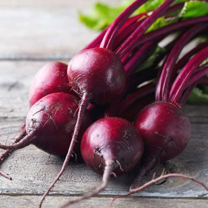 Beetroot Microgreen Seeds | Home Décor | Waseeh Pakistan