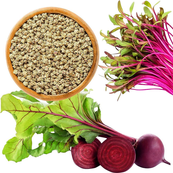 Beetroot Microgreen Seeds | Home Décor | Waseeh Pakistan