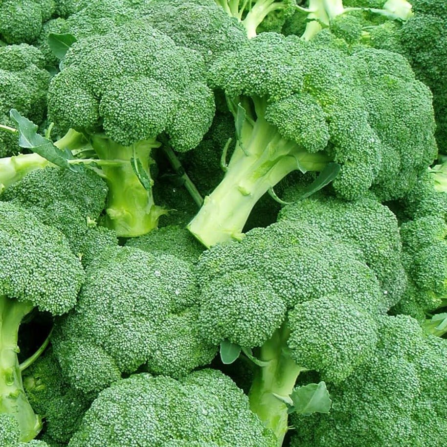 Broccoli Seeds Packet | Home Décor | Waseeh Pakistan