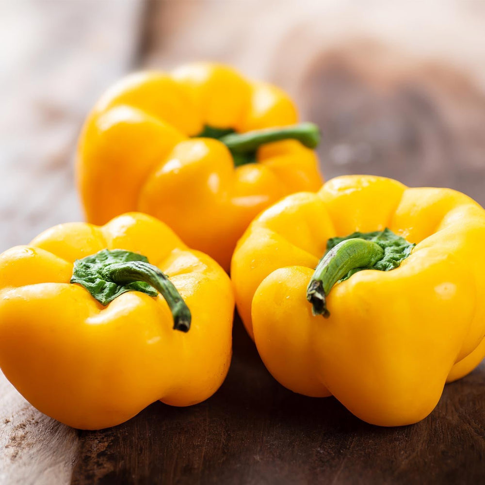 Capsicum Yellow F-1 Seeds | Home Décor | Waseeh Pakistan