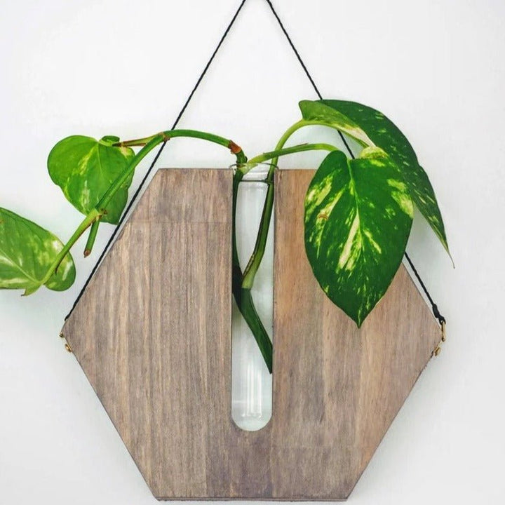 Crucul Wall Hanging Planter Wooden Vase Decor | Not Sale FB | Waseeh Pakistan