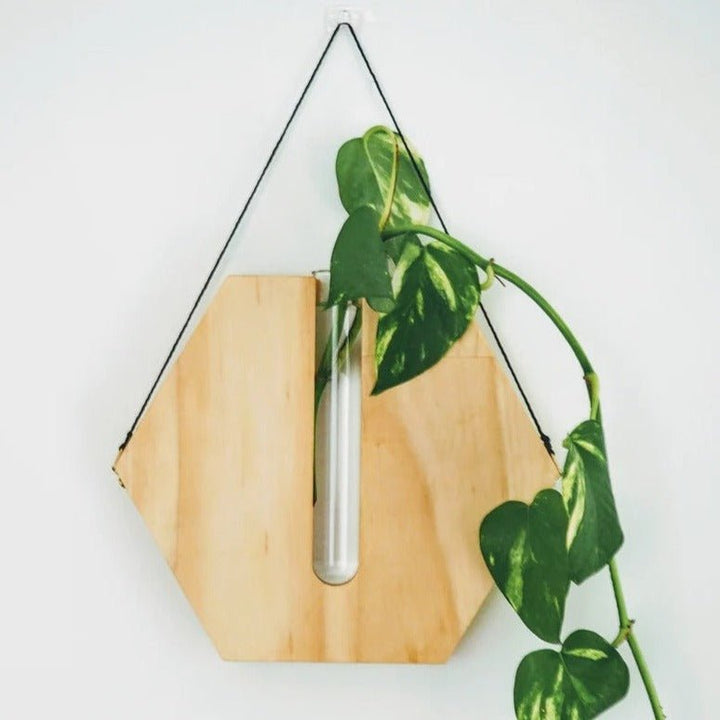 Crucul Wall Hanging Planter Wooden Vase Decor | Not Sale FB | Waseeh Pakistan