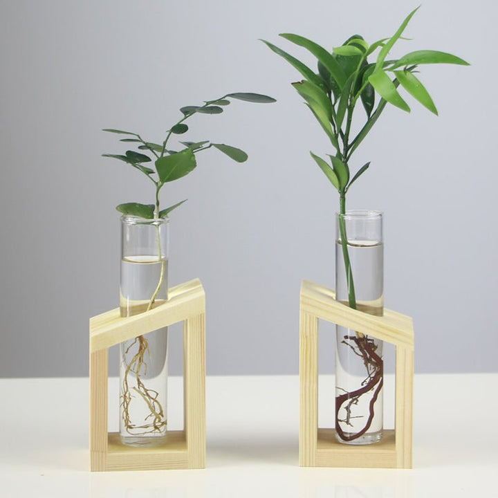 Festoon Test Tube Flower Pot Home Office Table Vase Decor-Special | Not Sale FB | Waseeh Pakistan