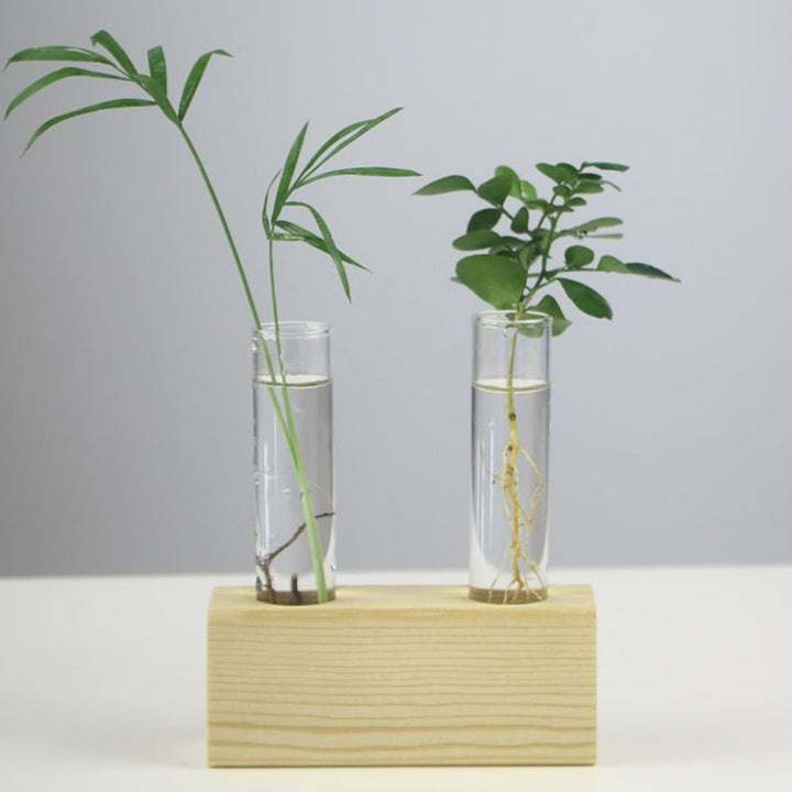 Festoon Test Tube Flower Pot Home Office Table Vase Decor-Special | Not Sale FB | Waseeh Pakistan