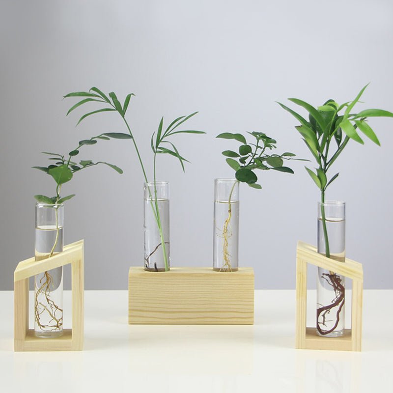 Festoon Test Tube Flower Pot Home Office Table Vase Decor-Special | Not Sale FB | Waseeh Pakistan