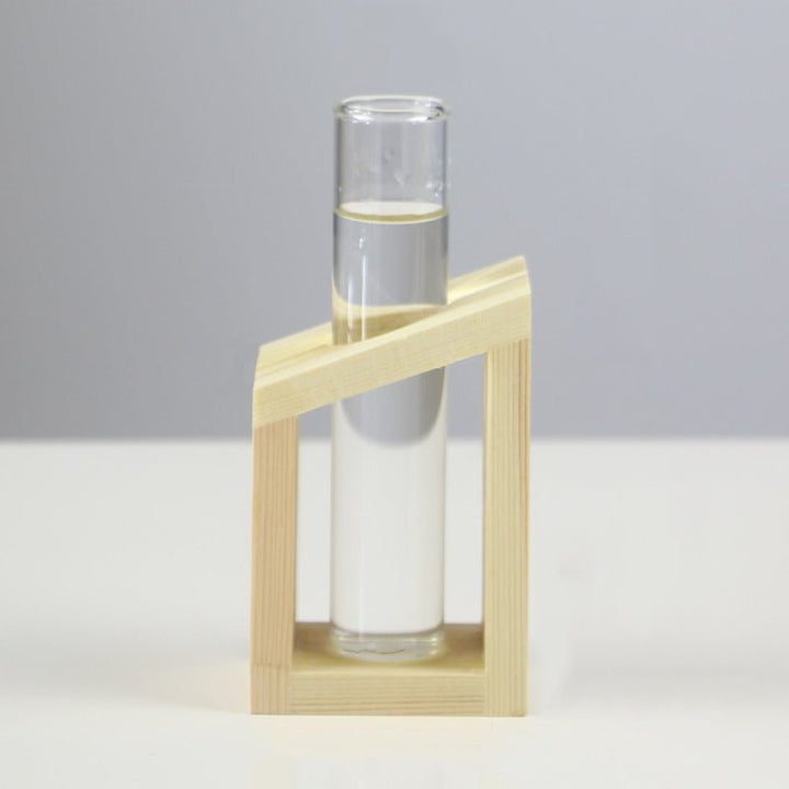 Festoon Test Tube Flower Pot Home Office Table Vase Decor-Special | Not Sale FB | Waseeh Pakistan