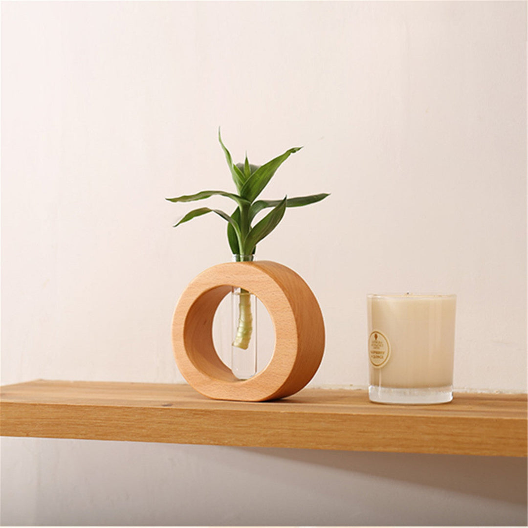 Hydroponic Transparent Flower Glass Pot Home Vase Plant Decor | Not Sale FB | Waseeh Pakistan