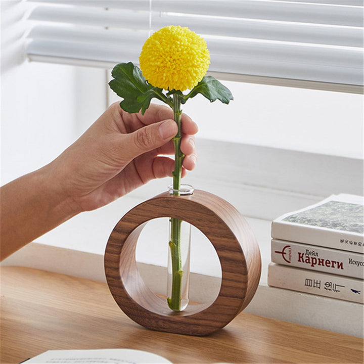 Hydroponic Transparent Flower Glass Pot Home Vase Plant Decor | Not Sale FB | Waseeh Pakistan