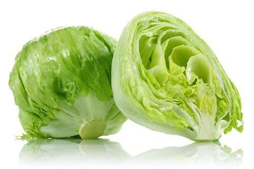 Iceberg Lettuce Seeds | Home Décor | Waseeh Pakistan
