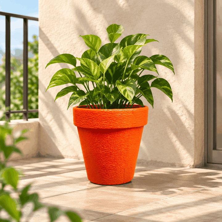 Large orange plant holder pot with green plant on sunlit wooden terrace