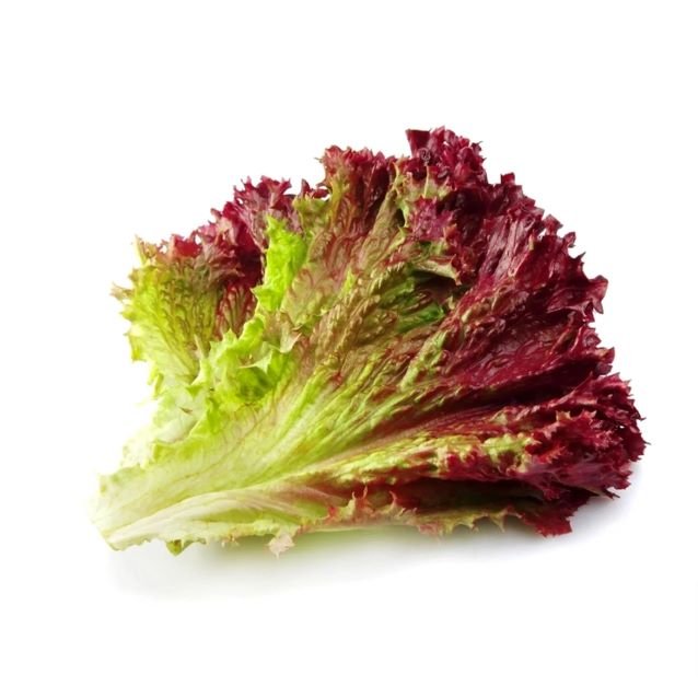Lettuce Red Fire F-1 Seeds | Home Décor | Waseeh Pakistan