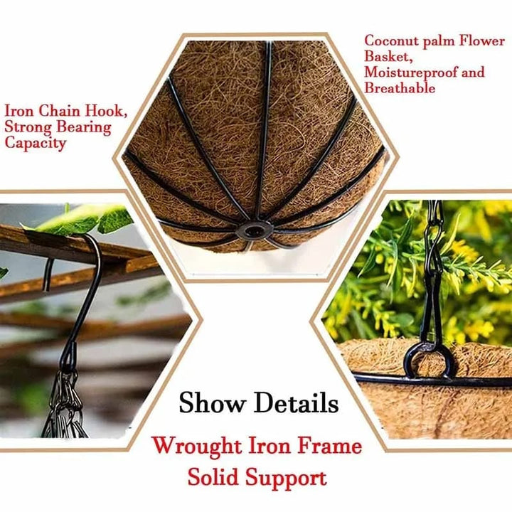 Money Plant Coconut Hanging Basket Decor | Furniture | Waseeh Pakistan