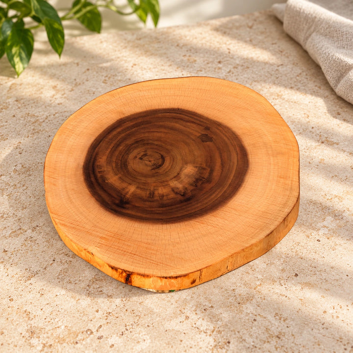 Natural wood slice with visible growth rings on a tabletop