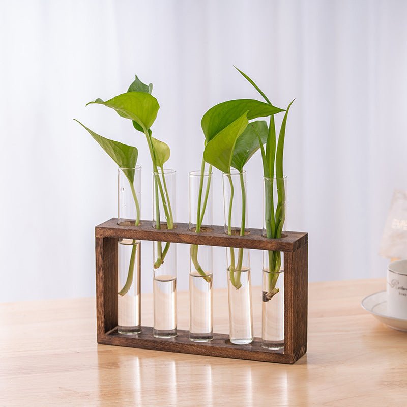Nounas Transparent Flower Glass Pot Home Vase Plant Decor | Not Sale FB | Waseeh Pakistan