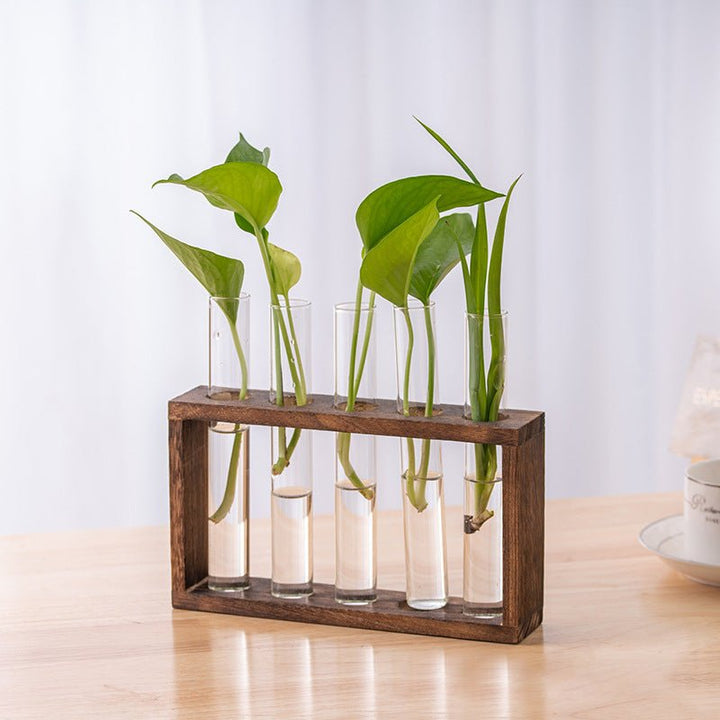 Nounas Transparent Flower Glass Pot Home Vase Plant Decor | Not Sale FB | Waseeh Pakistan