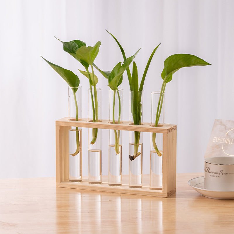 Nounas Transparent Flower Glass Pot Home Vase Plant Decor | Not Sale FB | Waseeh Pakistan