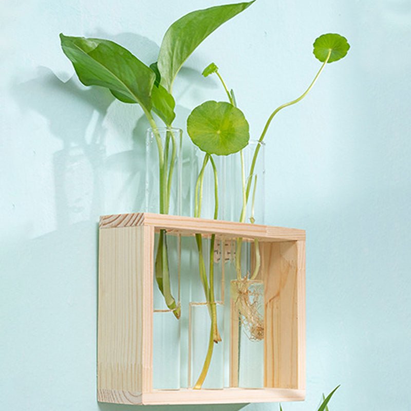 Nounas Transparent Flower Glass Pot Home Vase Plant Decor | Not Sale FB | Waseeh Pakistan