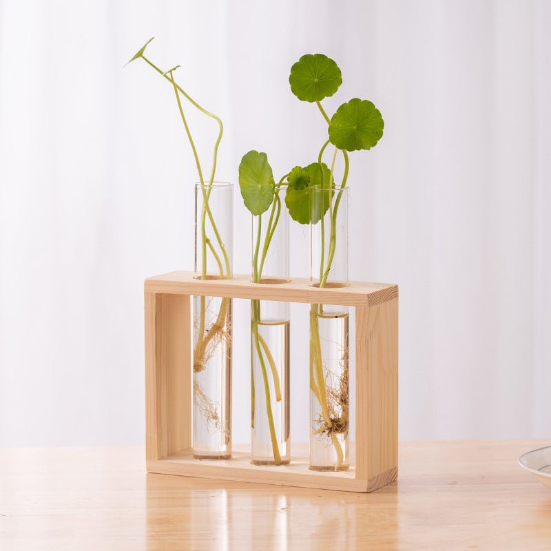 Nounas Transparent Flower Glass Pot Home Vase Plant Decor | Not Sale FB | Waseeh Pakistan