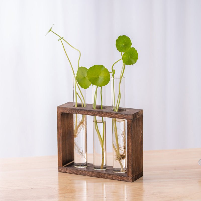 Nounas Transparent Flower Glass Pot Home Vase Plant Decor | Not Sale FB | Waseeh Pakistan