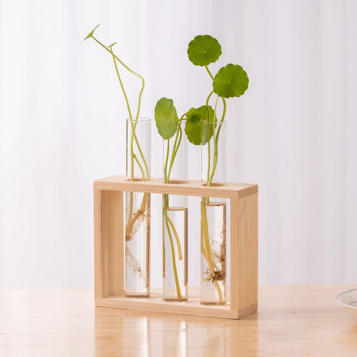 Nounas Transparent Flower Glass Pot Home Vase Plant Decor | Not Sale FB | Waseeh Pakistan