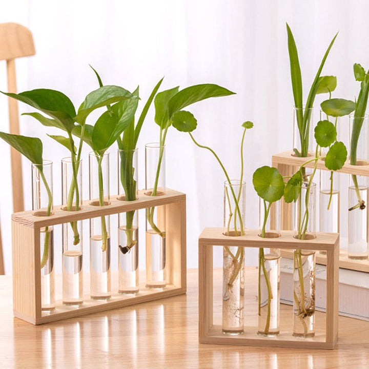 Nounas Transparent Flower Glass Pot Home Vase Plant Decor | Not Sale FB | Waseeh Pakistan
