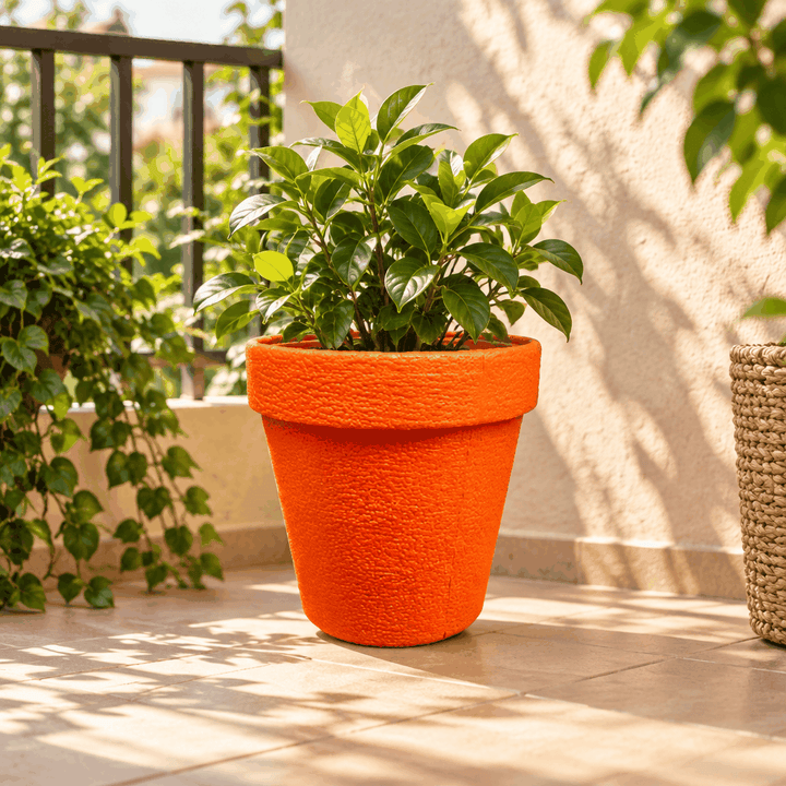 Extra large orange textured plant holder pot with leafy plant on sunny balcony
