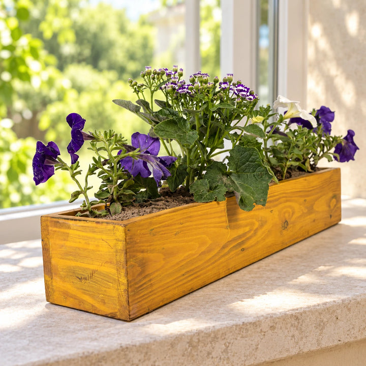Ochre rectangular planter with flowers beside a sunlit window