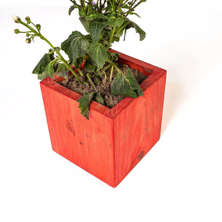 Planter Dixie | Not Sale FB | Waseeh Pakistan