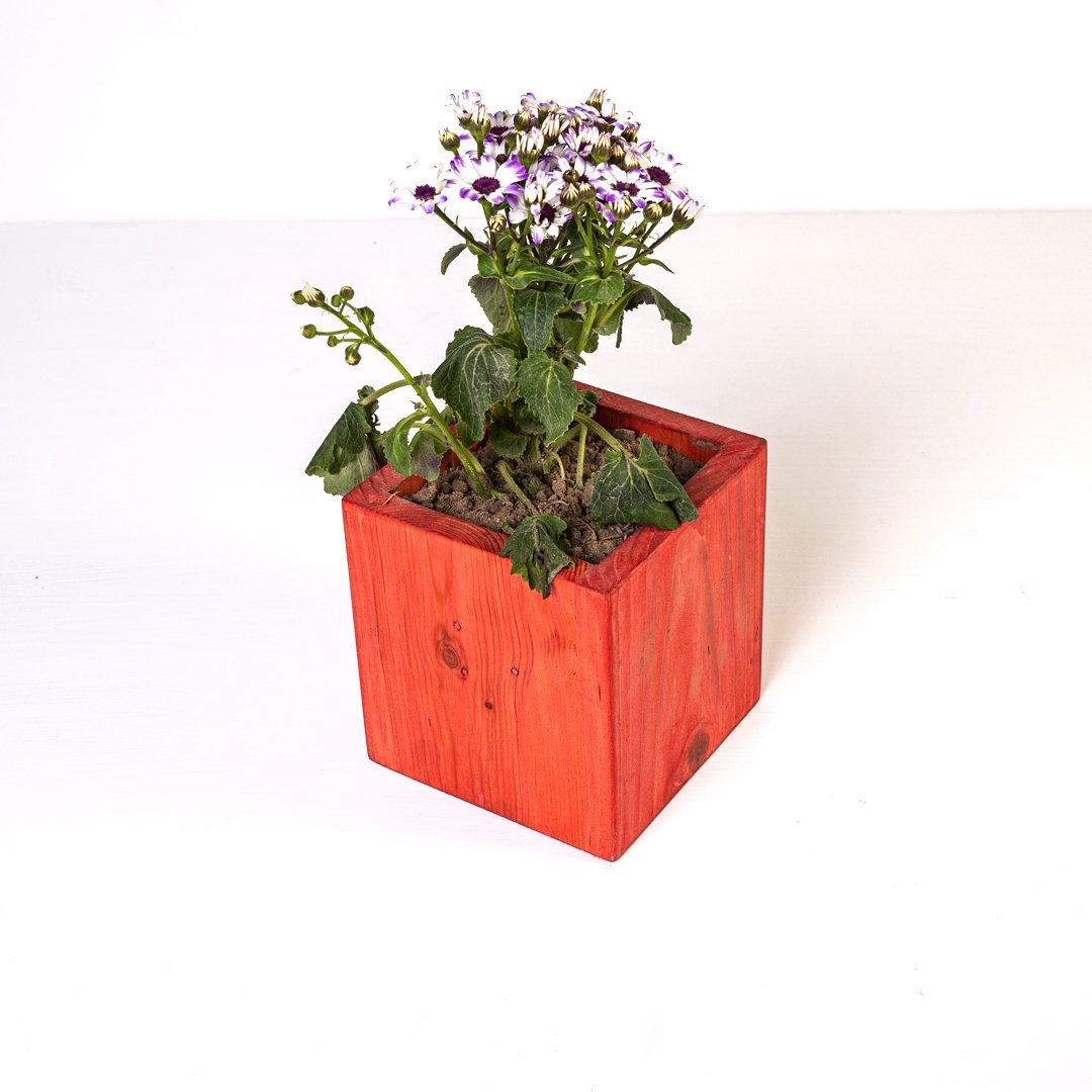Planter Dixie | Not Sale FB | Waseeh Pakistan