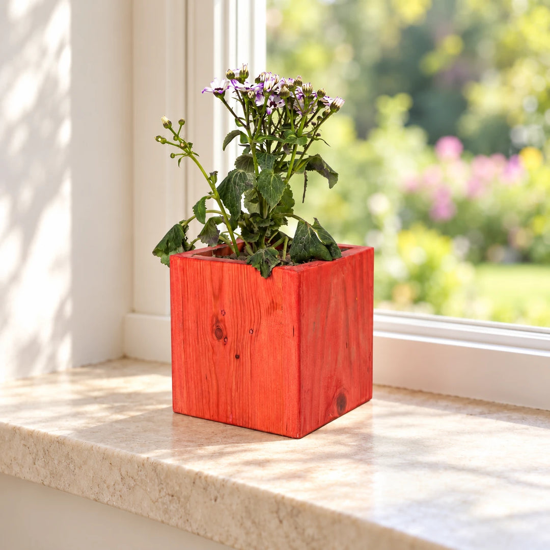 Red square planter with flowers on a sunlit windowsill
