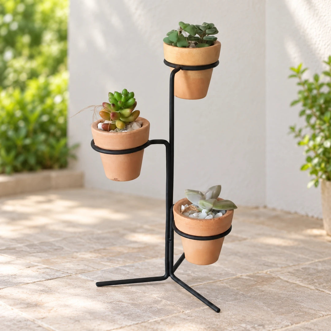 Praanzy black three-ring plant rack shown with three potted plants in daylight