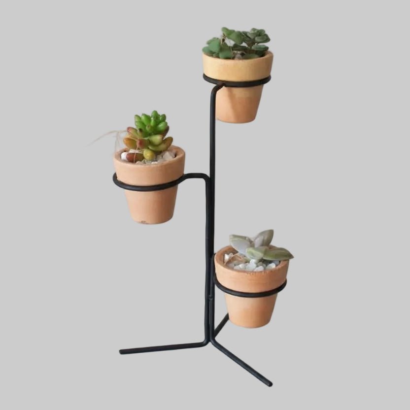 Praanzy Living Lounge Outdoor Pots Planter Rack - No Pots Included | Furniture | Waseeh Pakistan