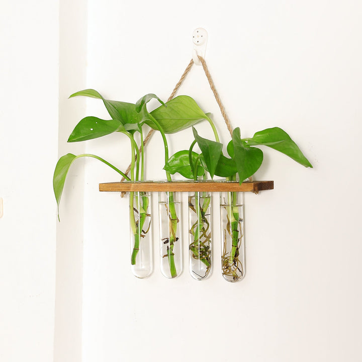 Stingzy Floating Shelve Flower Glass Pot Home Vase Plant Decor | Not Sale FB | Waseeh Pakistan