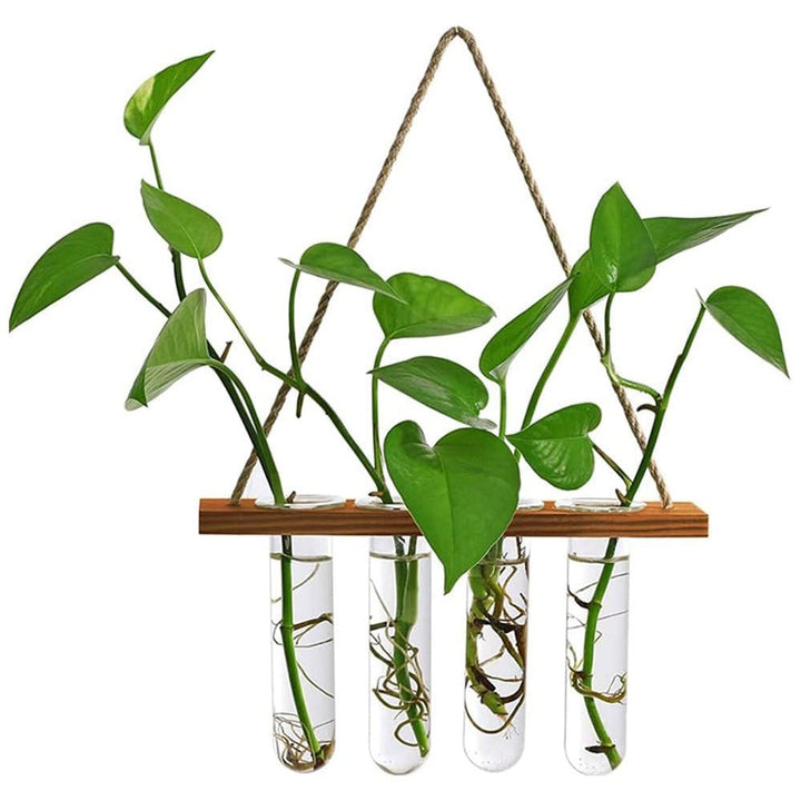 Stingzy Floating Shelve Flower Glass Pot Home Vase Plant Decor | Not Sale FB | Waseeh Pakistan