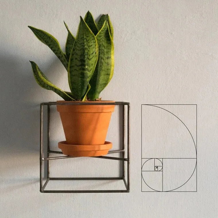 Sukudaa Metal Pot Organizer Plant Pot Rack (No Pots Included) | Furniture | Waseeh Pakistan