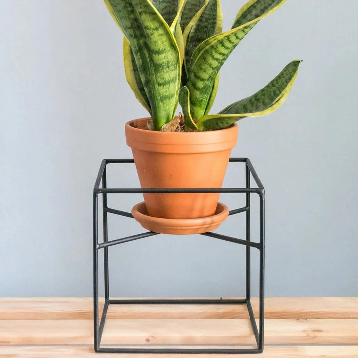 Sukudaa Metal Pot Organizer Plant Pot Rack (No Pots Included) | Furniture | Waseeh Pakistan