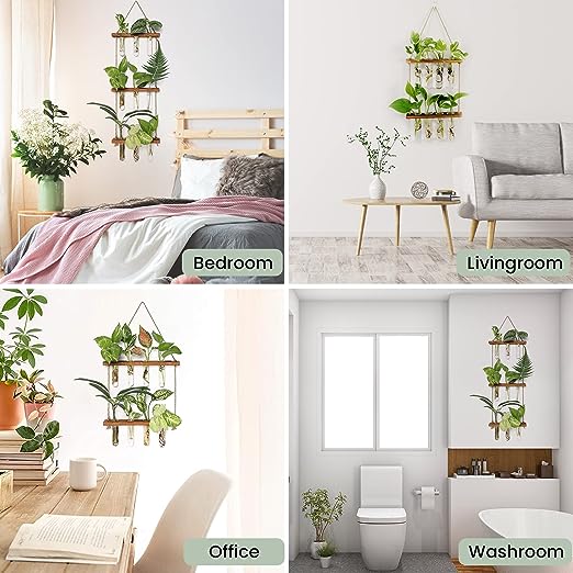 Terrarium Floating Shelve Flower Glass Pot Home Vase Plant Decor | Not Sale FB | Waseeh Pakistan