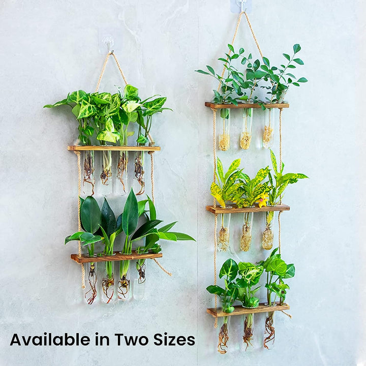 Terrarium Floating Shelve Flower Glass Pot Home Vase Plant Decor | Not Sale FB | Waseeh Pakistan
