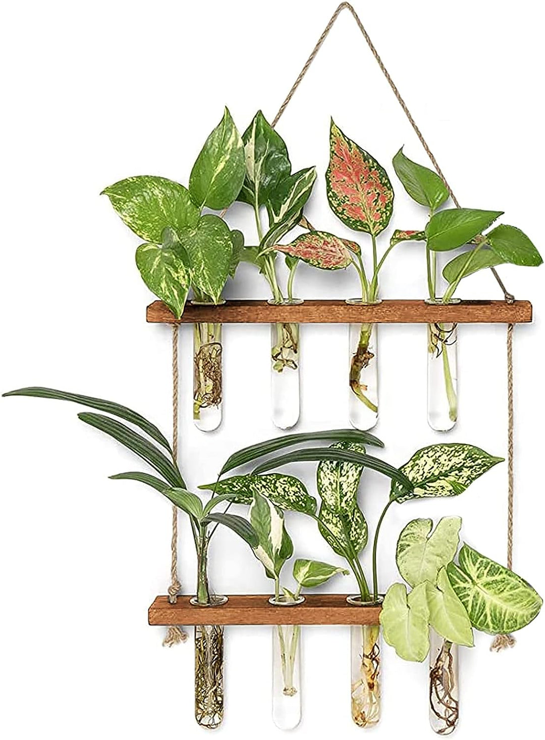 Terrarium Floating Shelve Flower Glass Pot Home Vase Plant Decor | Not Sale FB | Waseeh Pakistan