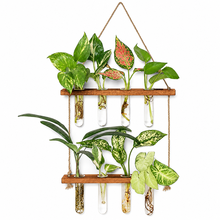 Two-tier hanging wooden terrarium shelf with glass tube vases and leafy plants