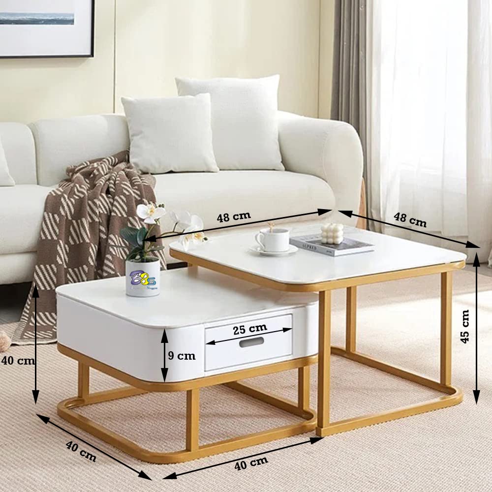 Thavine Square Center Table (Set of 2) | Furniture | Waseeh Pakistan